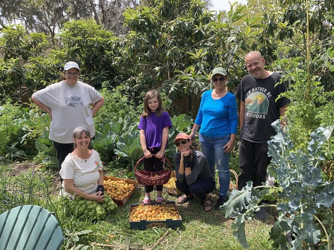 Several people standing in a green, leafy area smiling and standing around bushels of loquat fruit. Small girl with purple shirt in middle holding a basket.