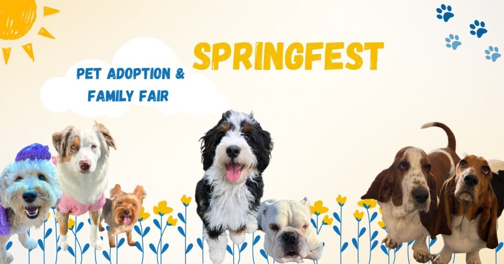 SpringFest -Pet Adoption & Family Fair
