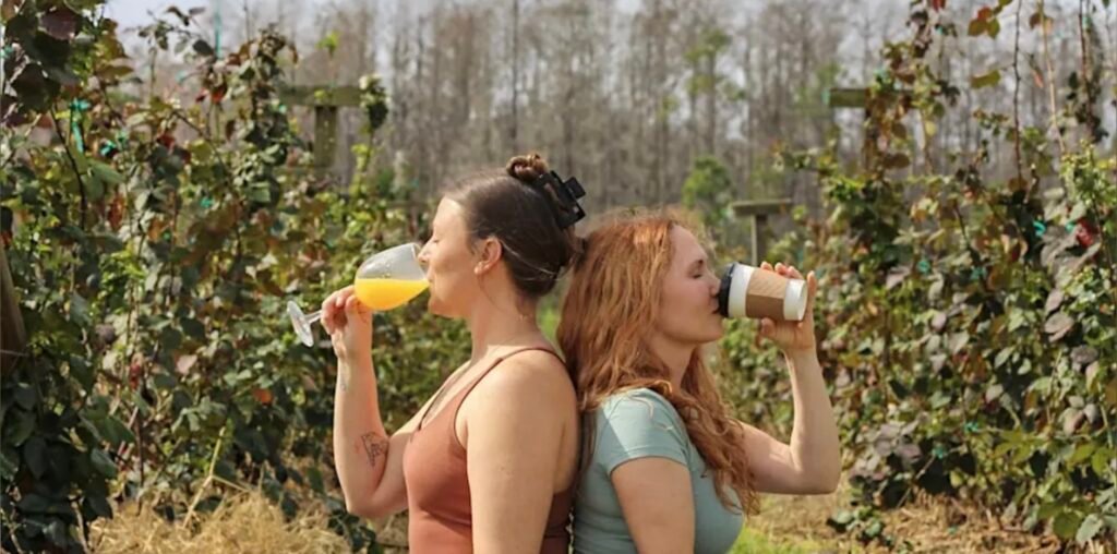Two women taking a drink, backs turned to each other, in a blueberry field