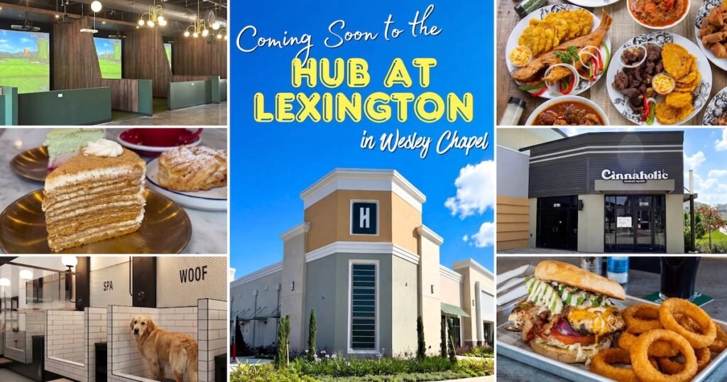 Photos of new businesses coming to the Hub at Lexington in Wesley Chapel, Fl. Photos include a golf simulator, a slice of cake, a dog in a dog batch, a new building at the Hub At Lexington, plates of Caribbean food, Cinnaholic store-front, and a burger with onion rings.