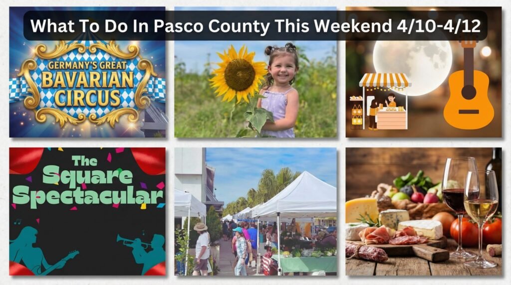 Collage of photos including Great Bavarian Circus poster, a child standing in a field next to a giant sunflower, a vendor booth in front of a full moon next to a guitar, poster for The Square Spectacular, an open air market with white tents and people shopping, and a table of various cheeses and charcuterie with two wine glasses in front.